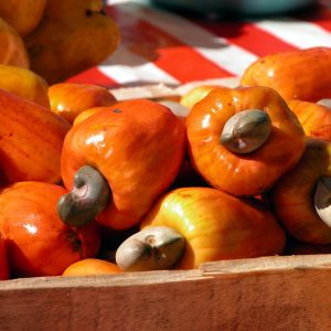 cashew
